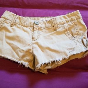 Khaki Shorts